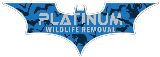 Safe Animal Removal LLC